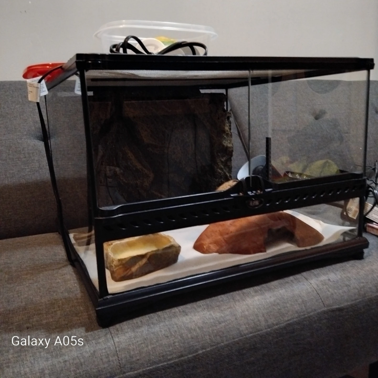Terrarium with Accessories