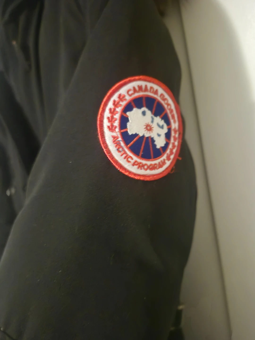 Canada Goose Arctic Program Parka - photo 2