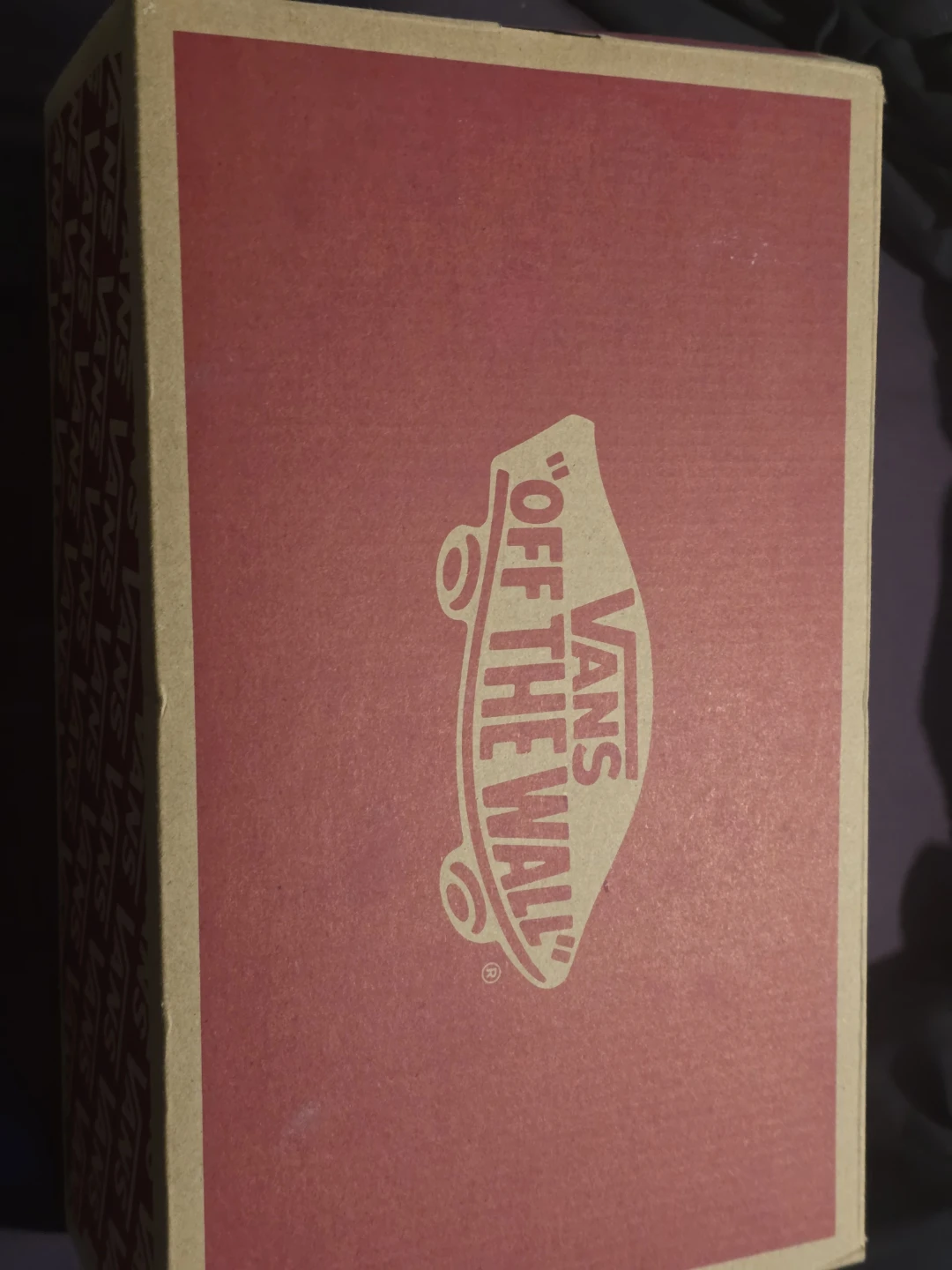 Vans Lowland Cc New Varsity Rose Smoke Sneakers - photo 5
