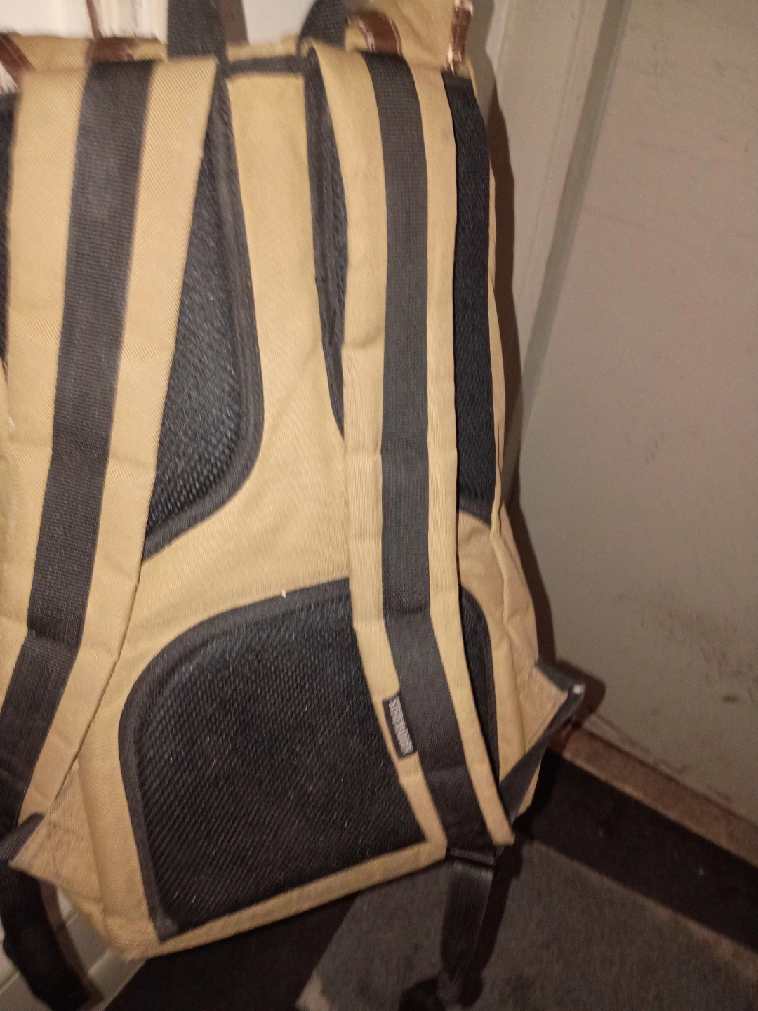 Steve Madden Backpack Bag - photo 3