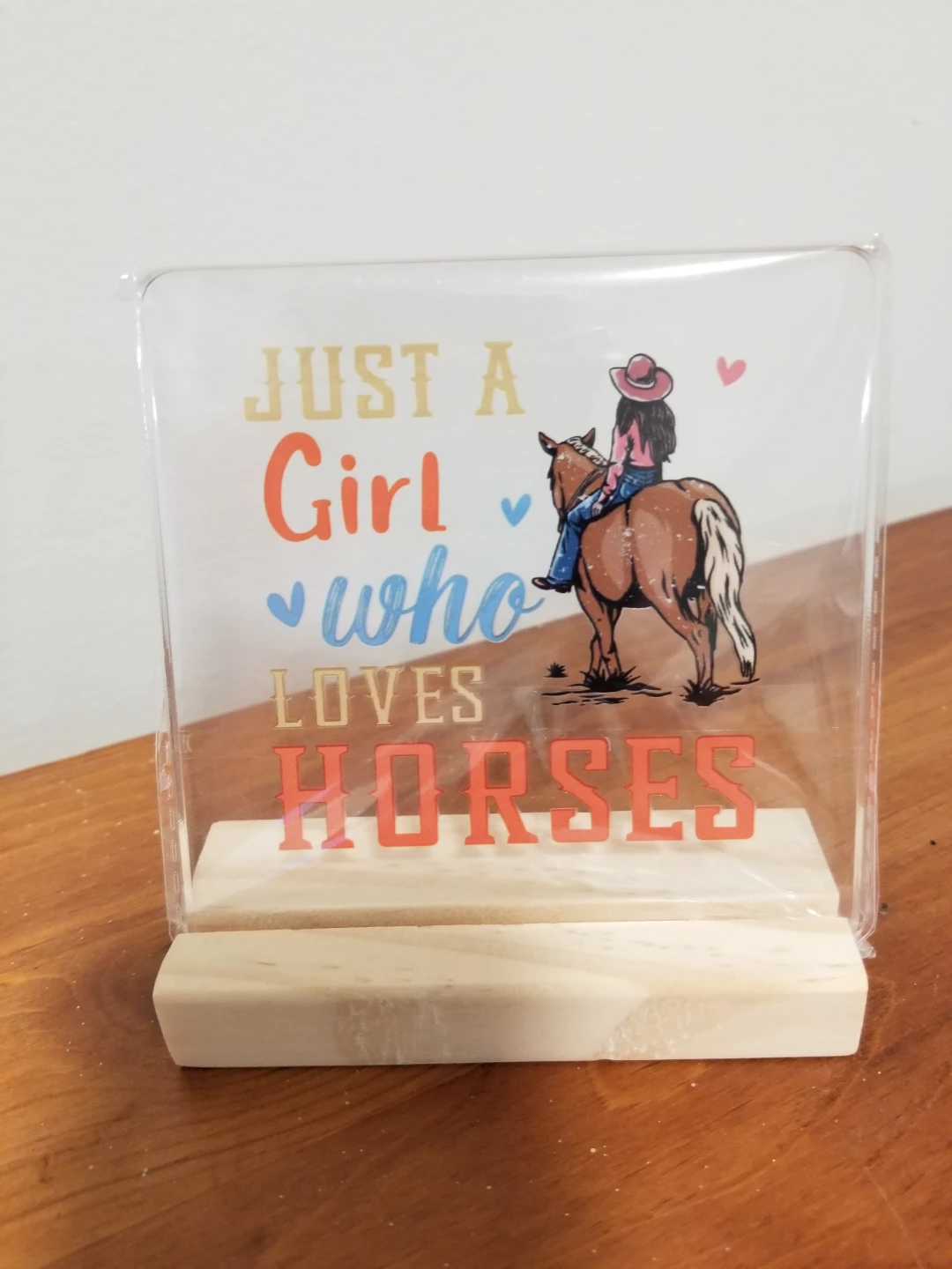 Just A Girl Who Loves Horses Decorative Sign