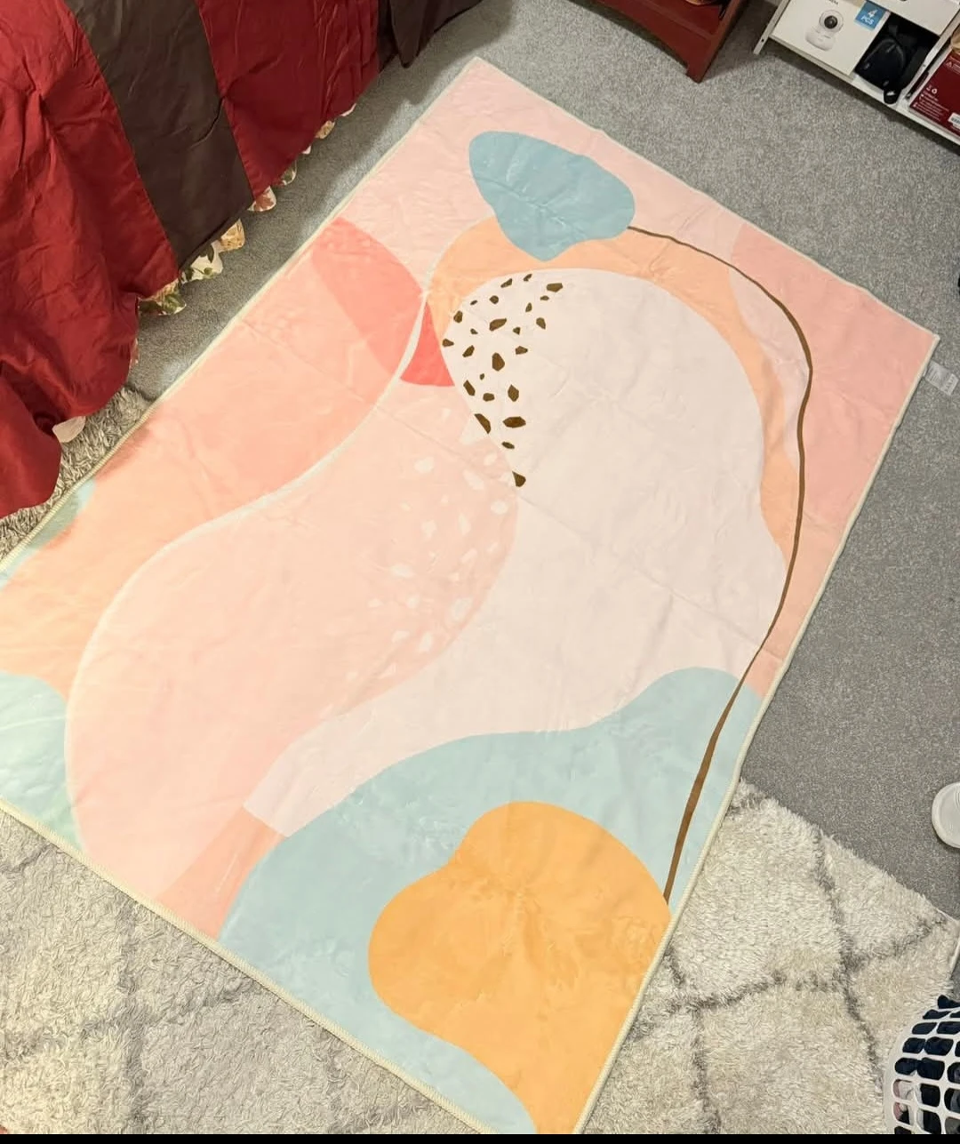 Area Rug - photo 3