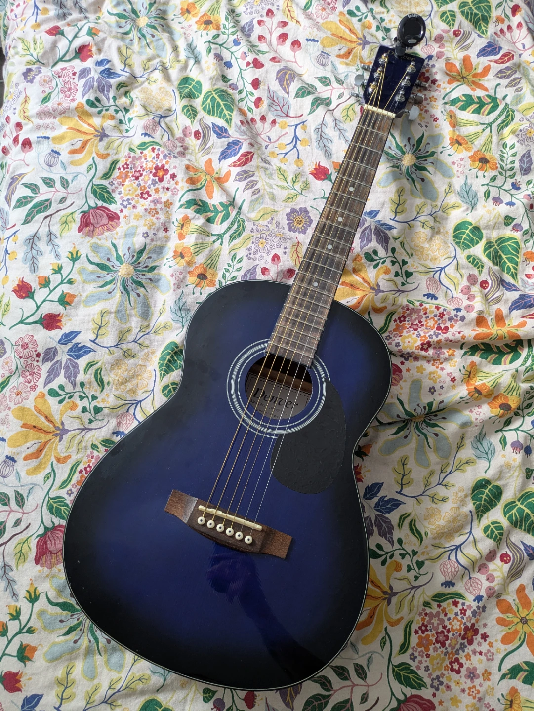 Blue Denver 3/4 Scale Acoustic Guitar w/Snark Tuner