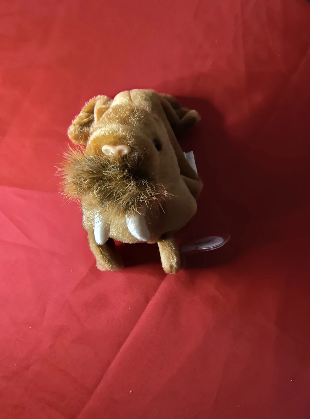 Ty Beanie Baby Paul the Walrus Plush Toy - photo 2