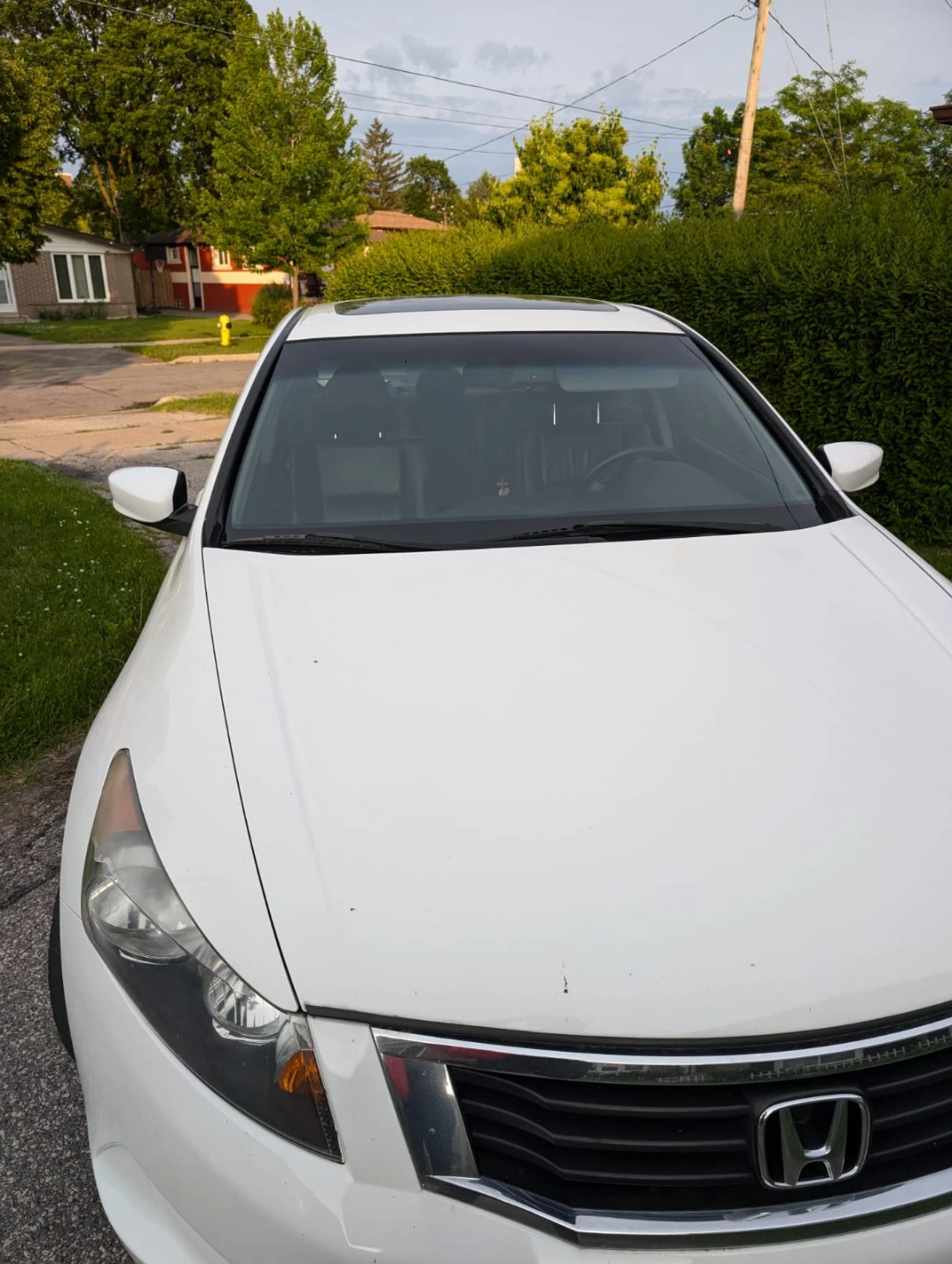 2009 White Honda Accord Sedan