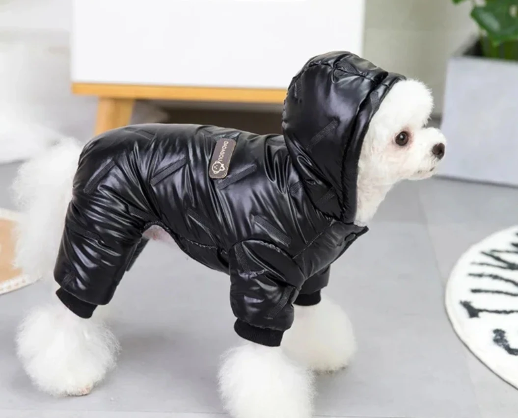 DADAGOU Black Dog Winter Jacket with Hood