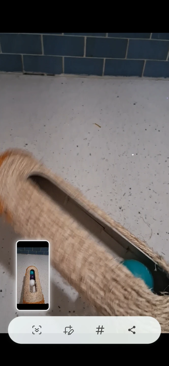 Cat Toy Roller with Bells
