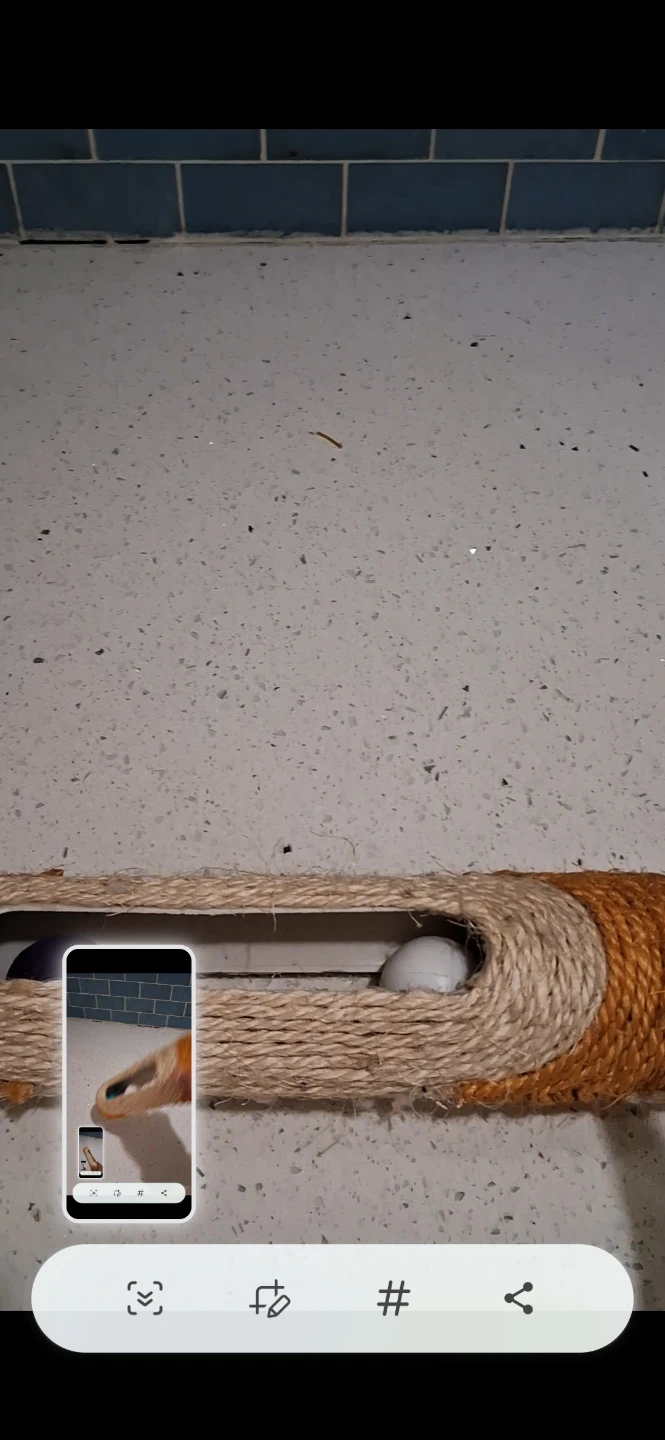 Cat Toy Roller with Bells - photo 3