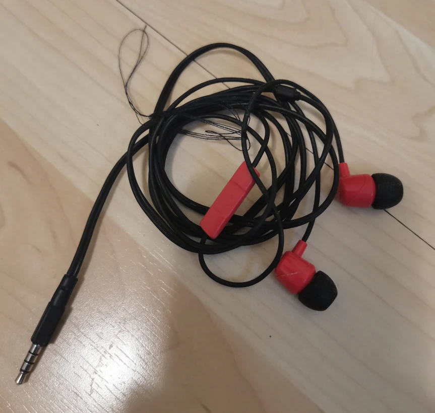 Black and Red Wired Earbuds