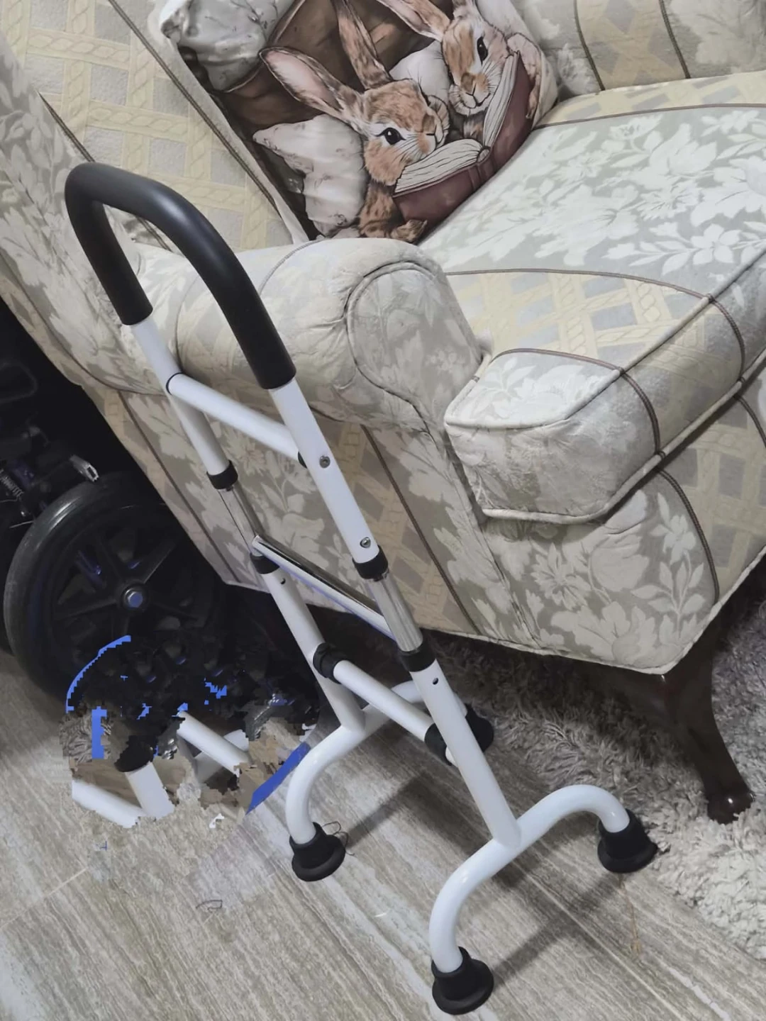 Standing assist for elderly