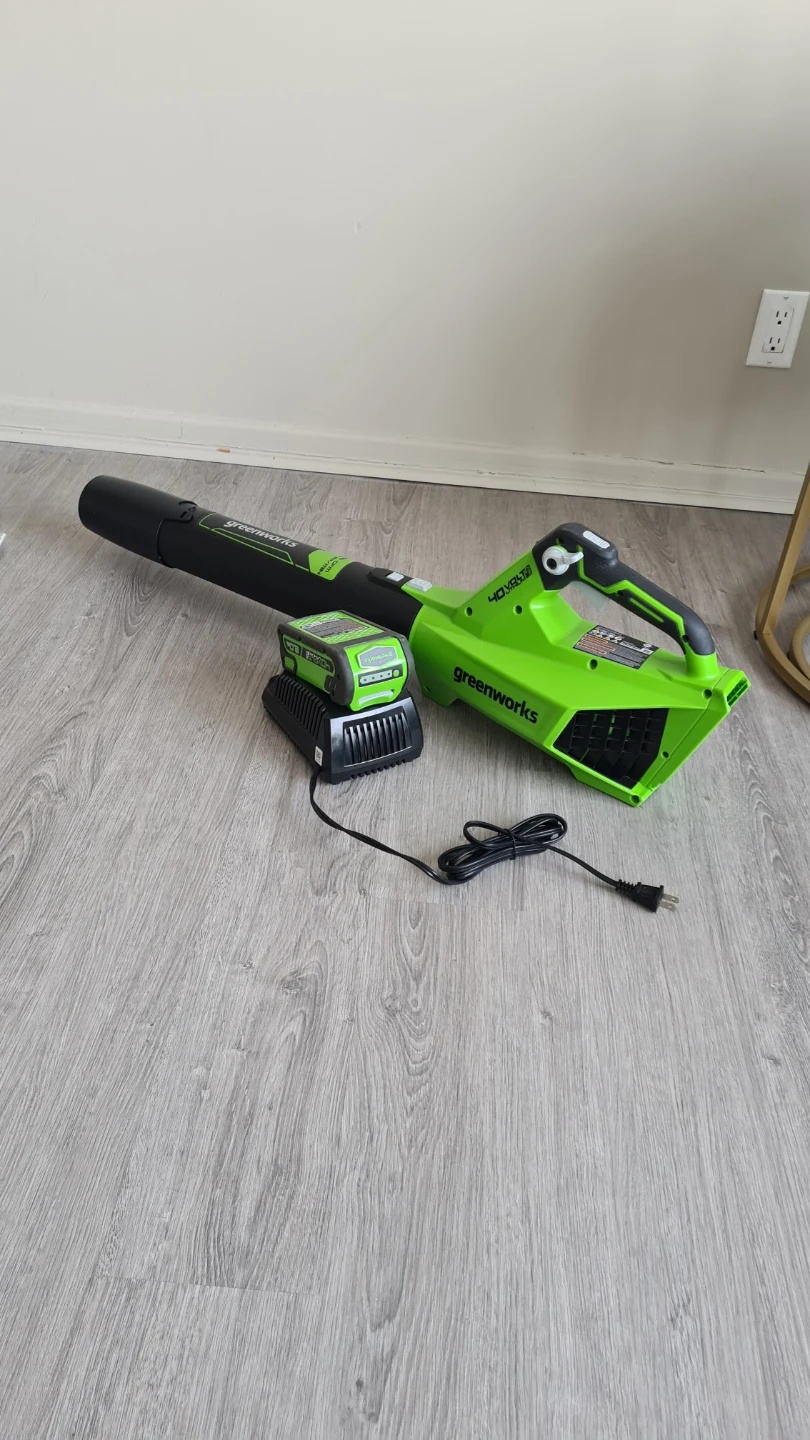 Greenworks cordless leaf blower + battery and charger