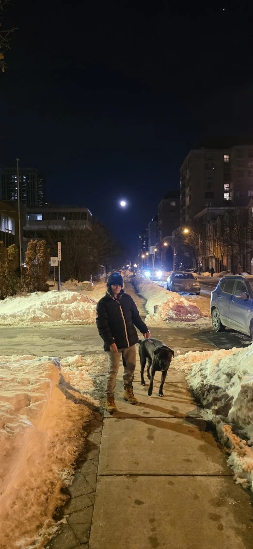 Dog Walker/Dog Jogger Midtown - photo 3