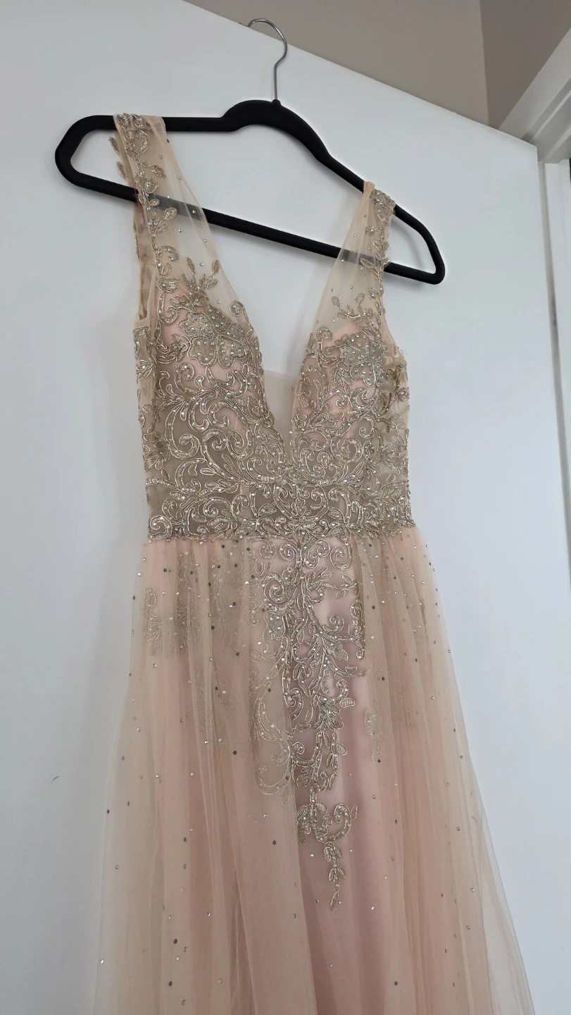 Pink Beaded Tulle Gown from the Bay (size 4) - photo 2