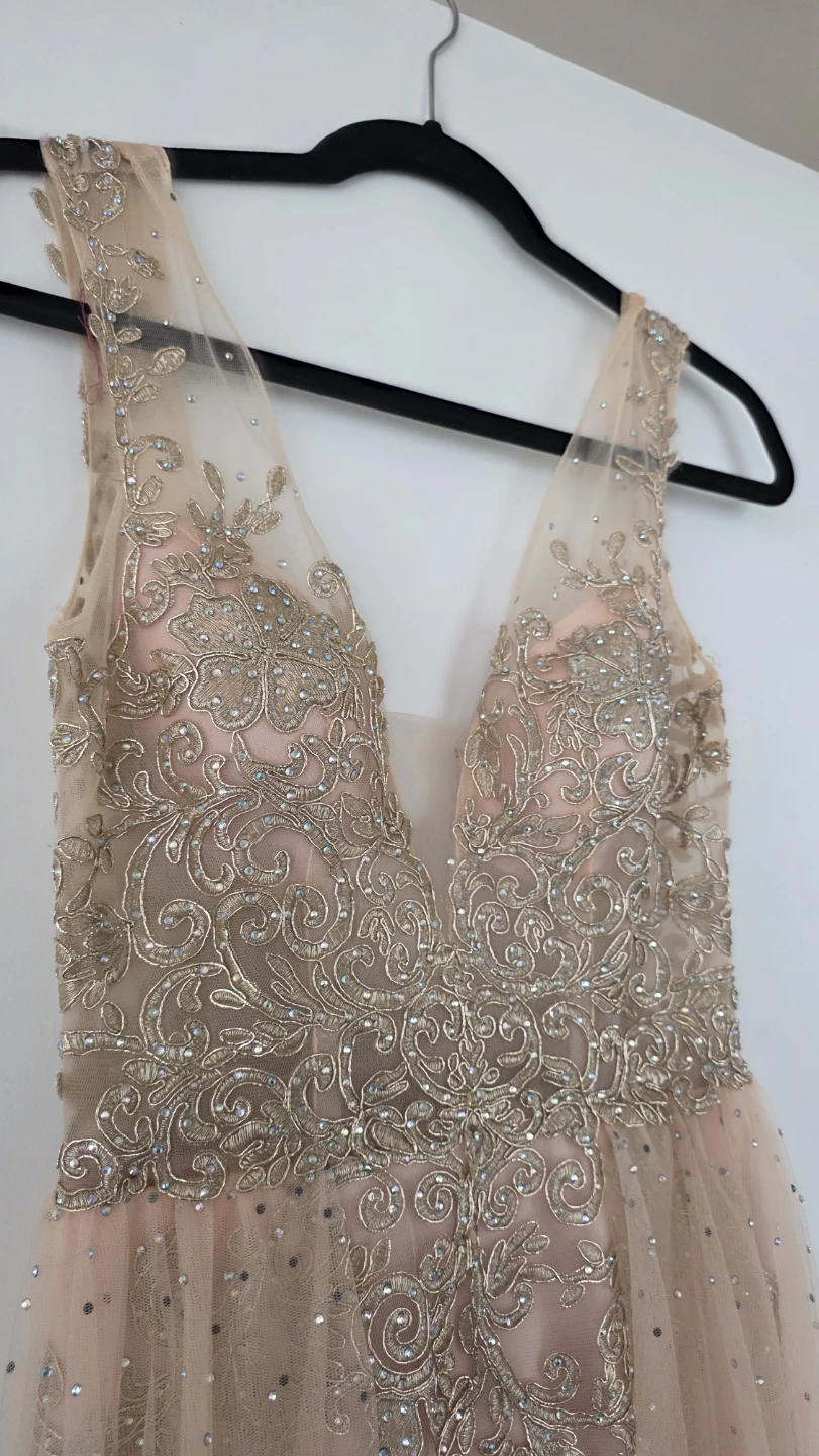 Pink Beaded Tulle Gown from the Bay (size 4) - photo 4