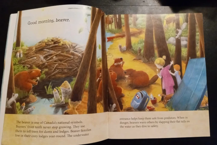 Good Morning, Canada by Andrea Lynn Beck - Children's Book - photo 4