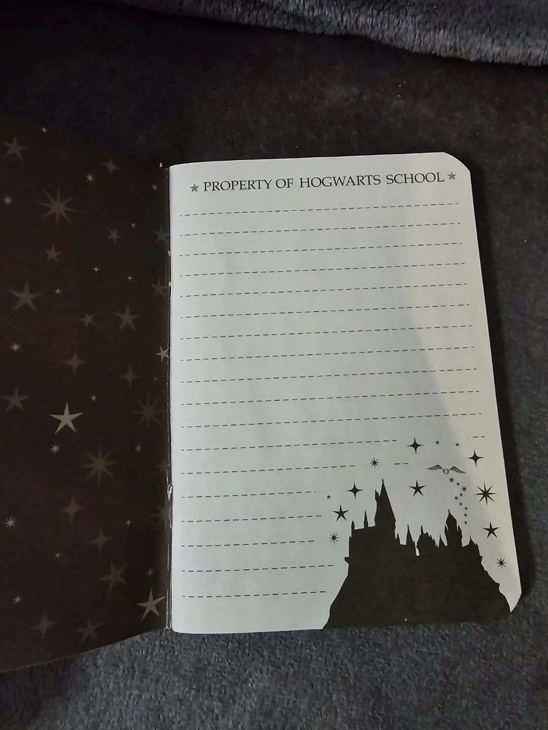 Harry Potter Property of Hogwarts School Notebook - photo 2