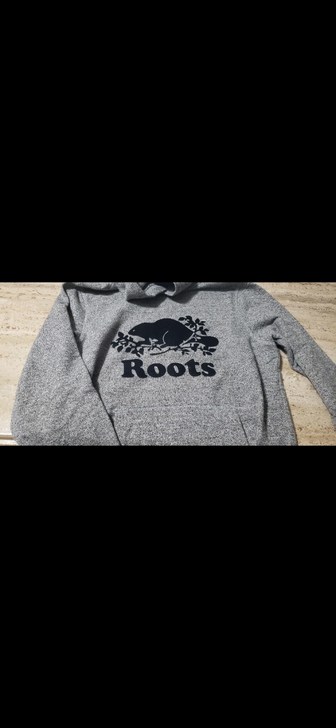Roots Beaver Logo Hoodie - photo 2