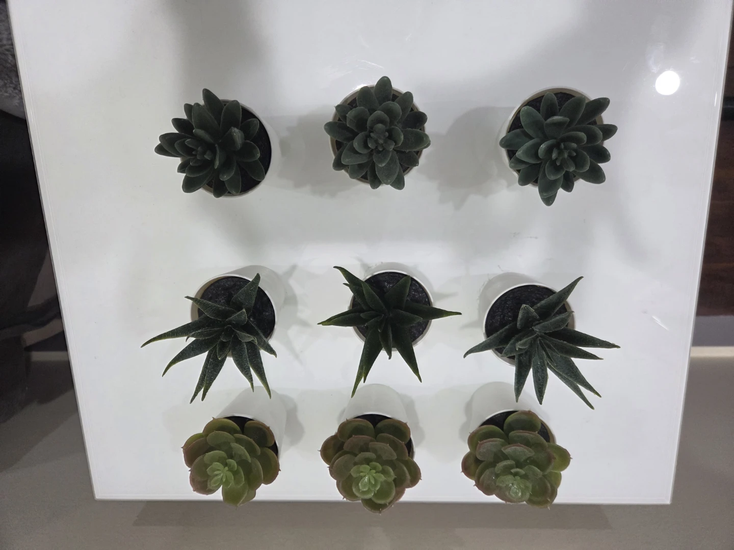 Set of 9 Faux Succulents in White Pots
