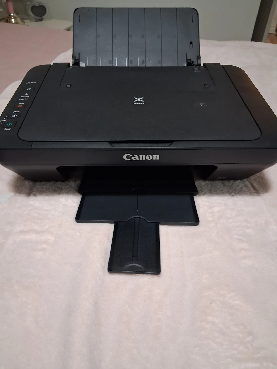 Canon PIXMA MG2524 All-in-One Printer