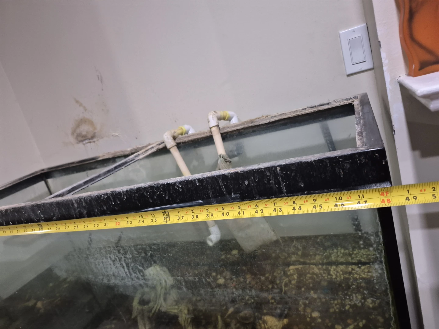 Large Aquarium Tank