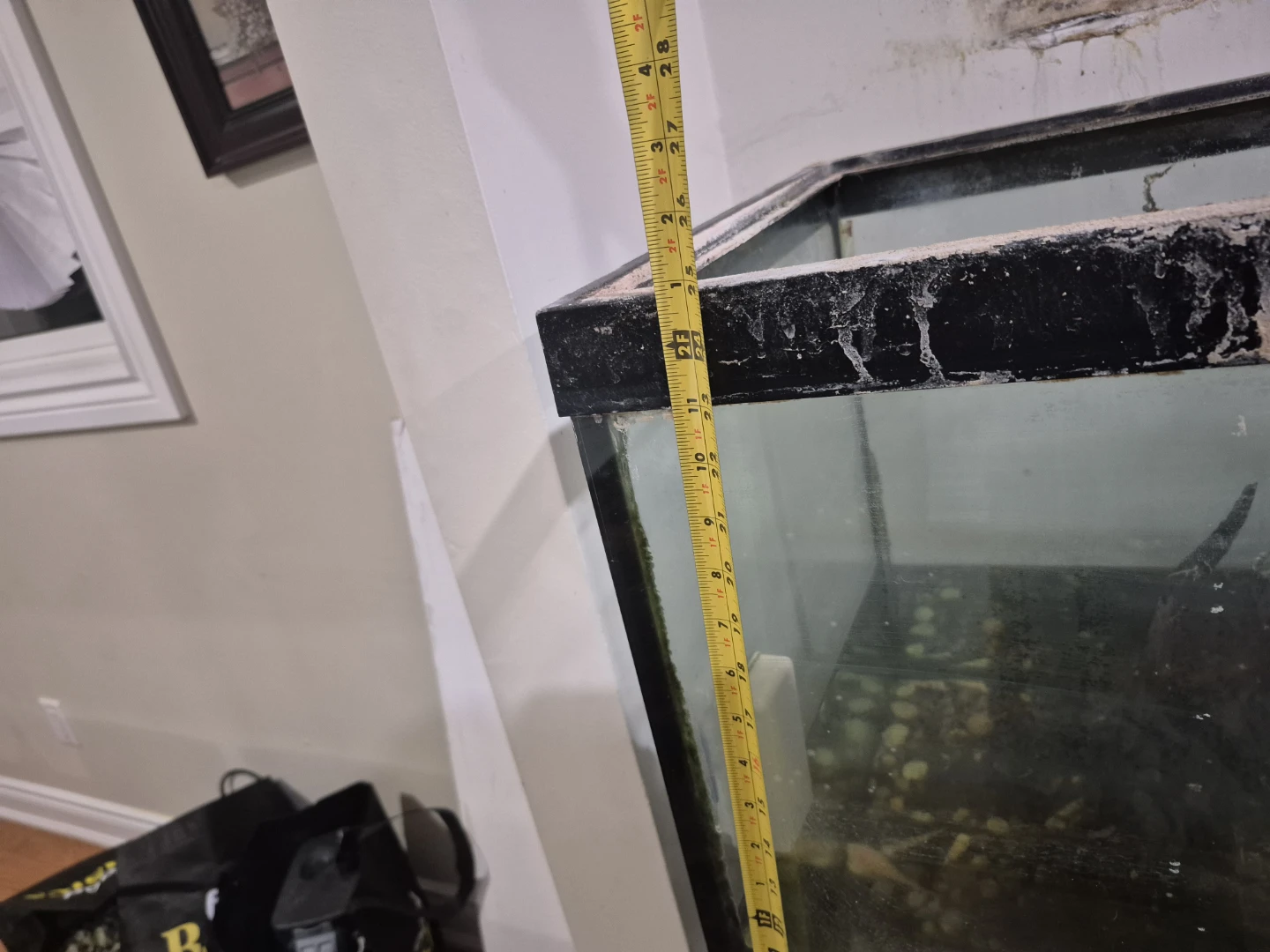 Large Aquarium Tank - photo 3