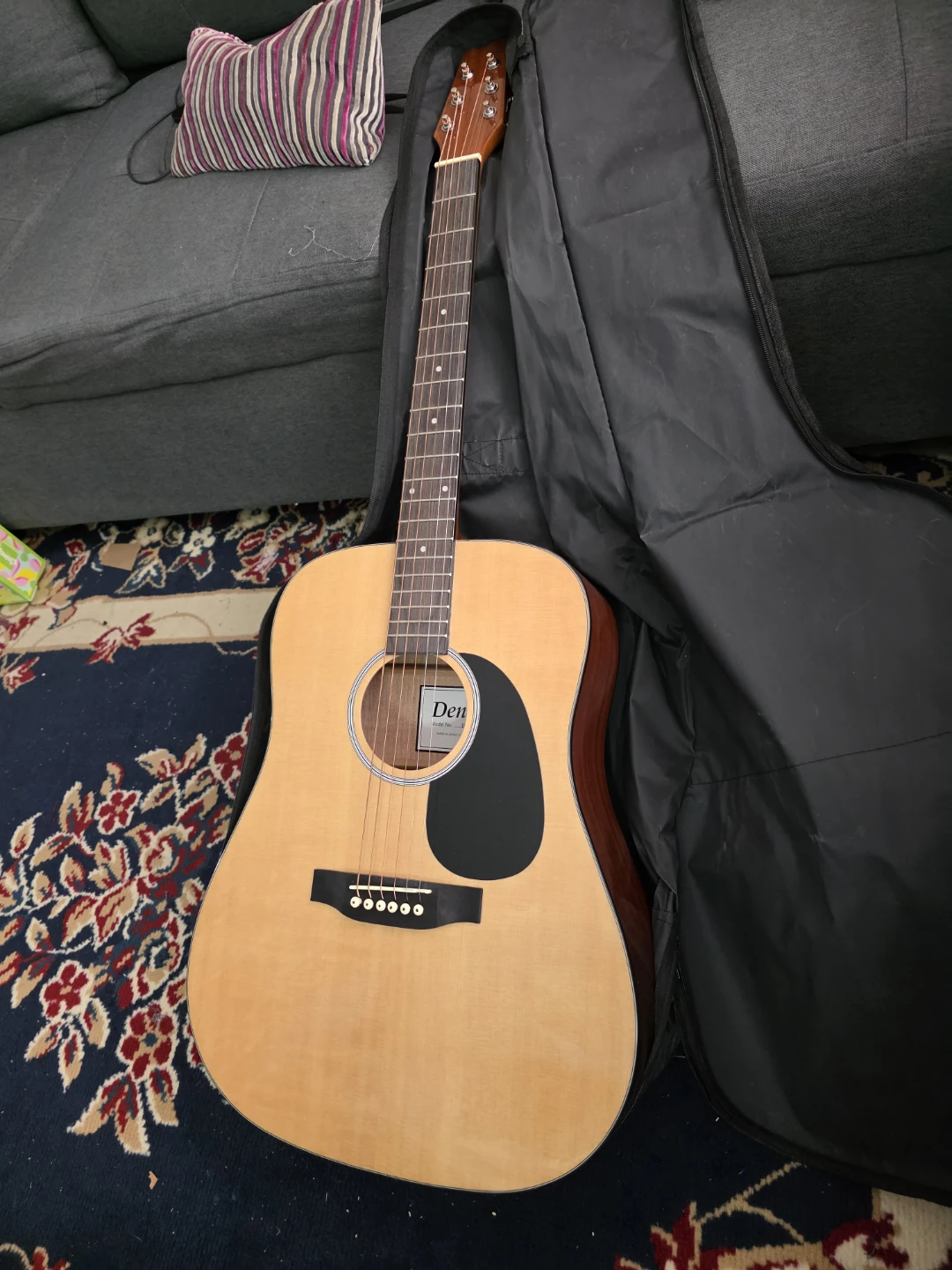Den Acoustic Guitar with Gig Bag
