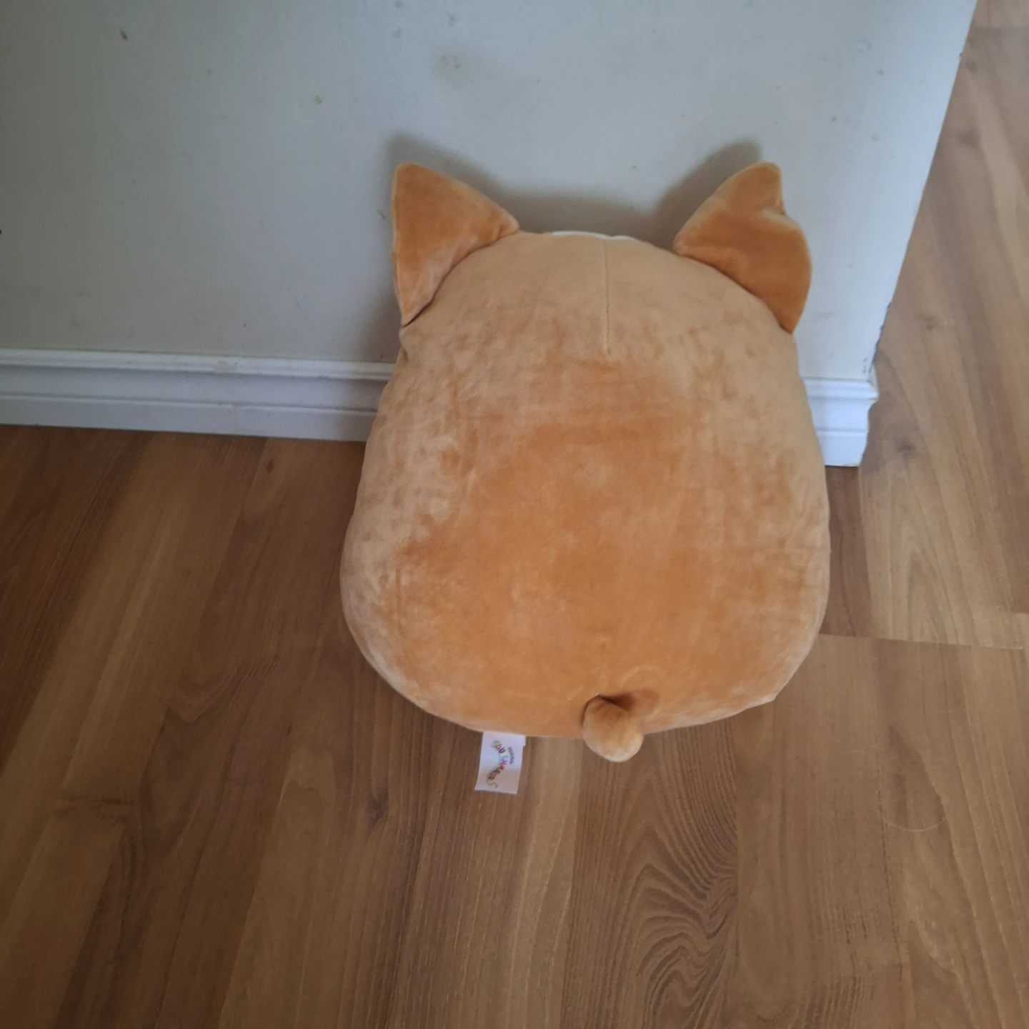 Squishmallow Corgi Plush Toy with Bandana - photo 2