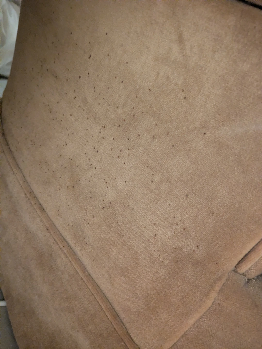 Velour Accent Chair - photo 2