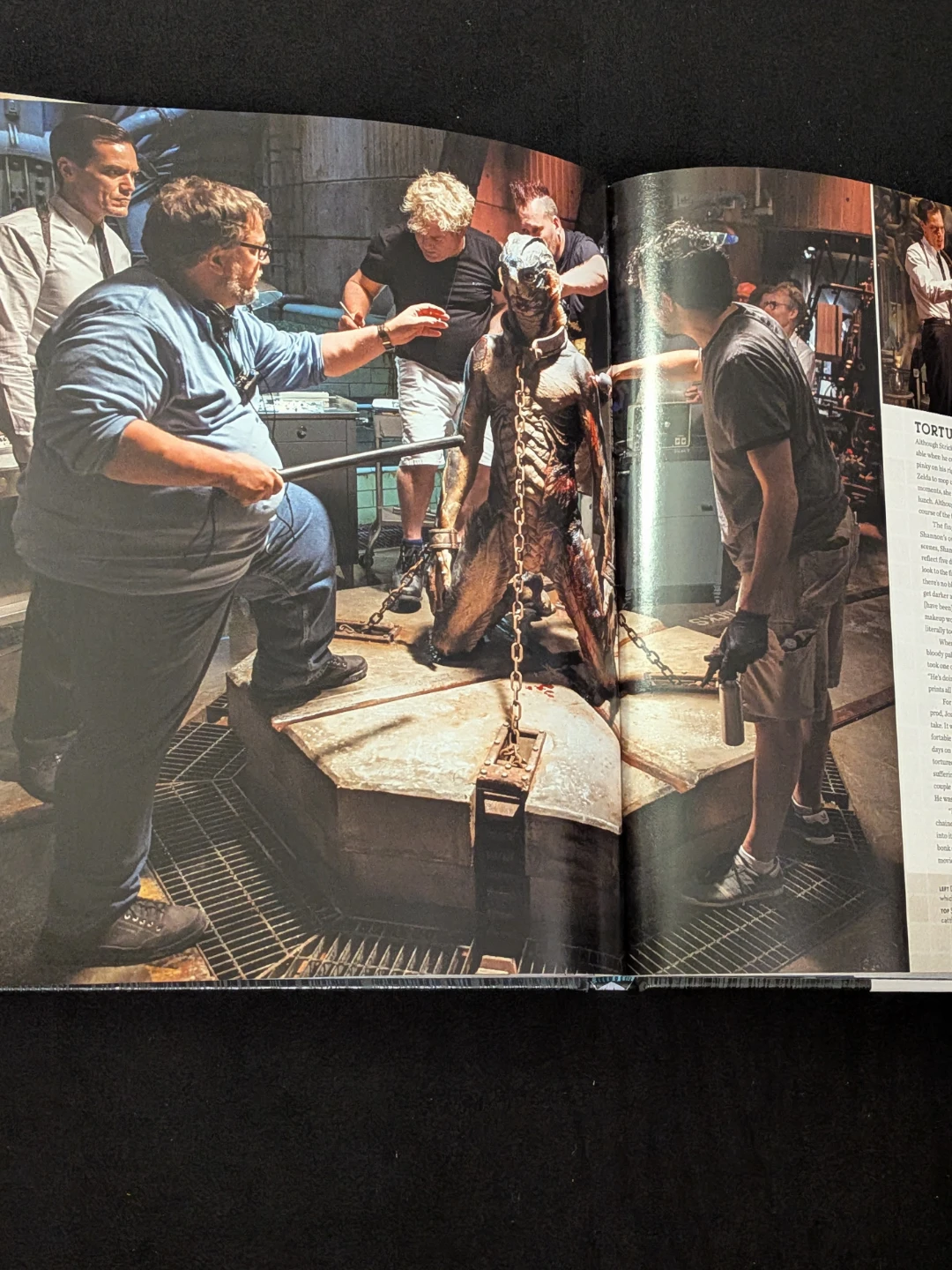 🎏 The Shape of Water film art book - photo 2