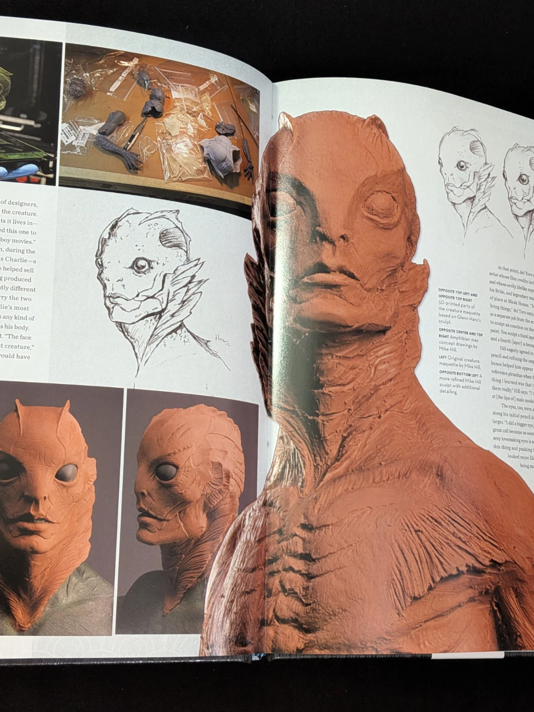 🎏 The Shape of Water film art book - photo 3