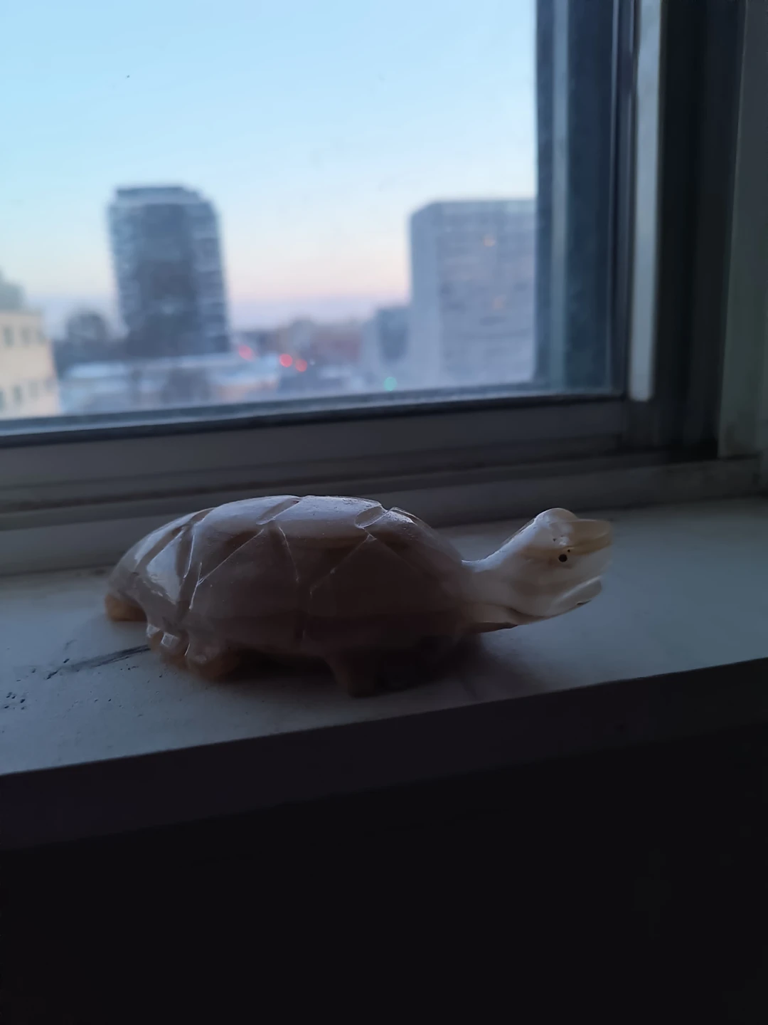 Carved Stone Turtle Figurine