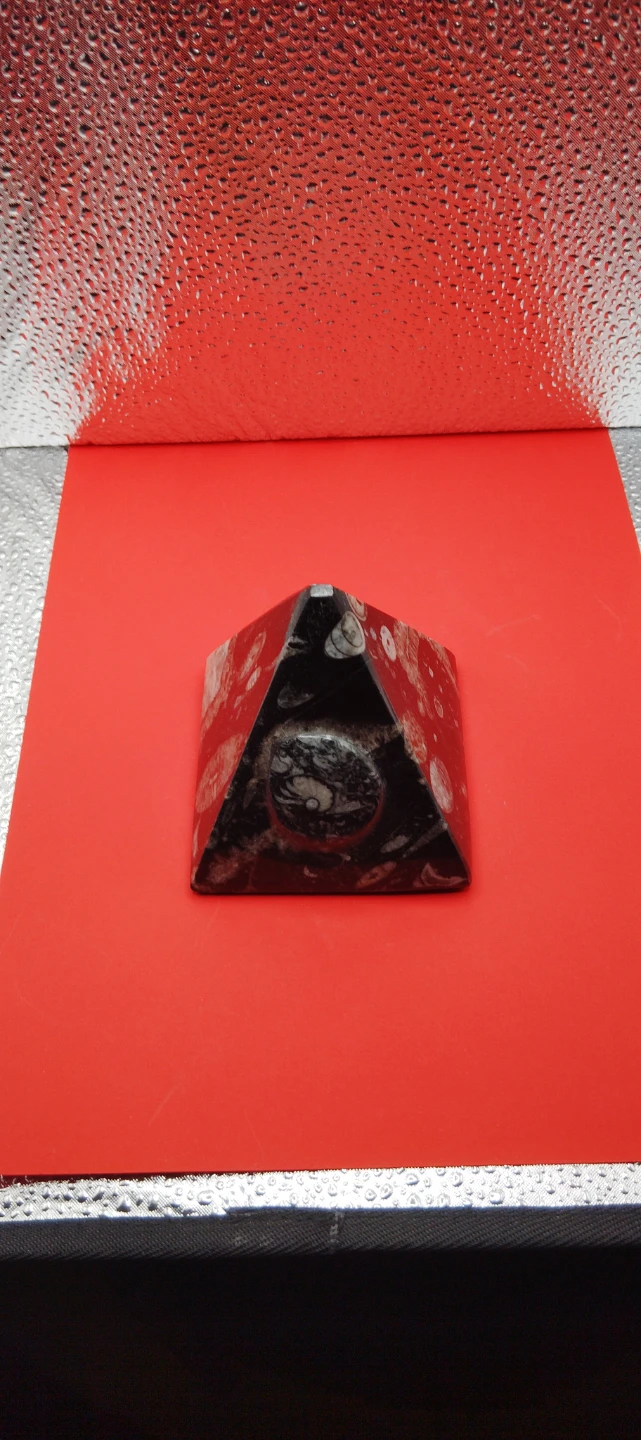 Orthoceras Ammounit Fossil Pyramid - photo 2