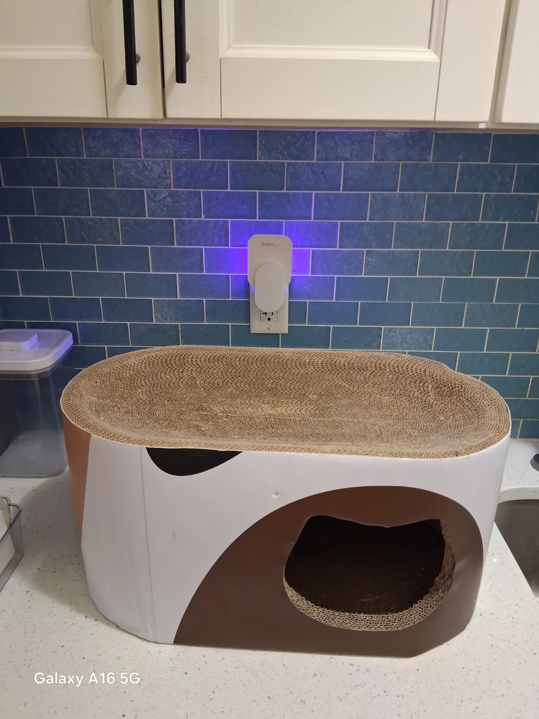 Cardboard Cat Scratcher Condo with Cut-out Entrance