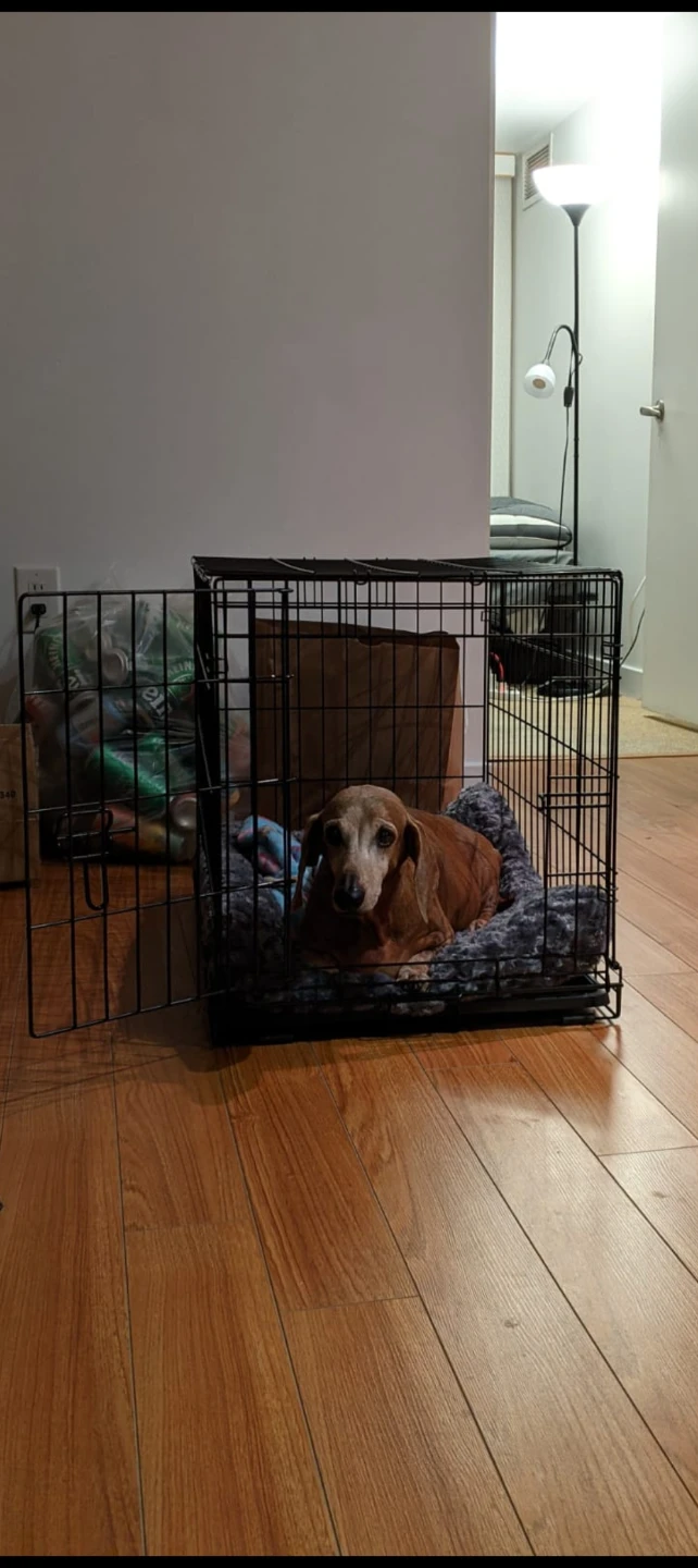 Folding Dog Crate - photo 3