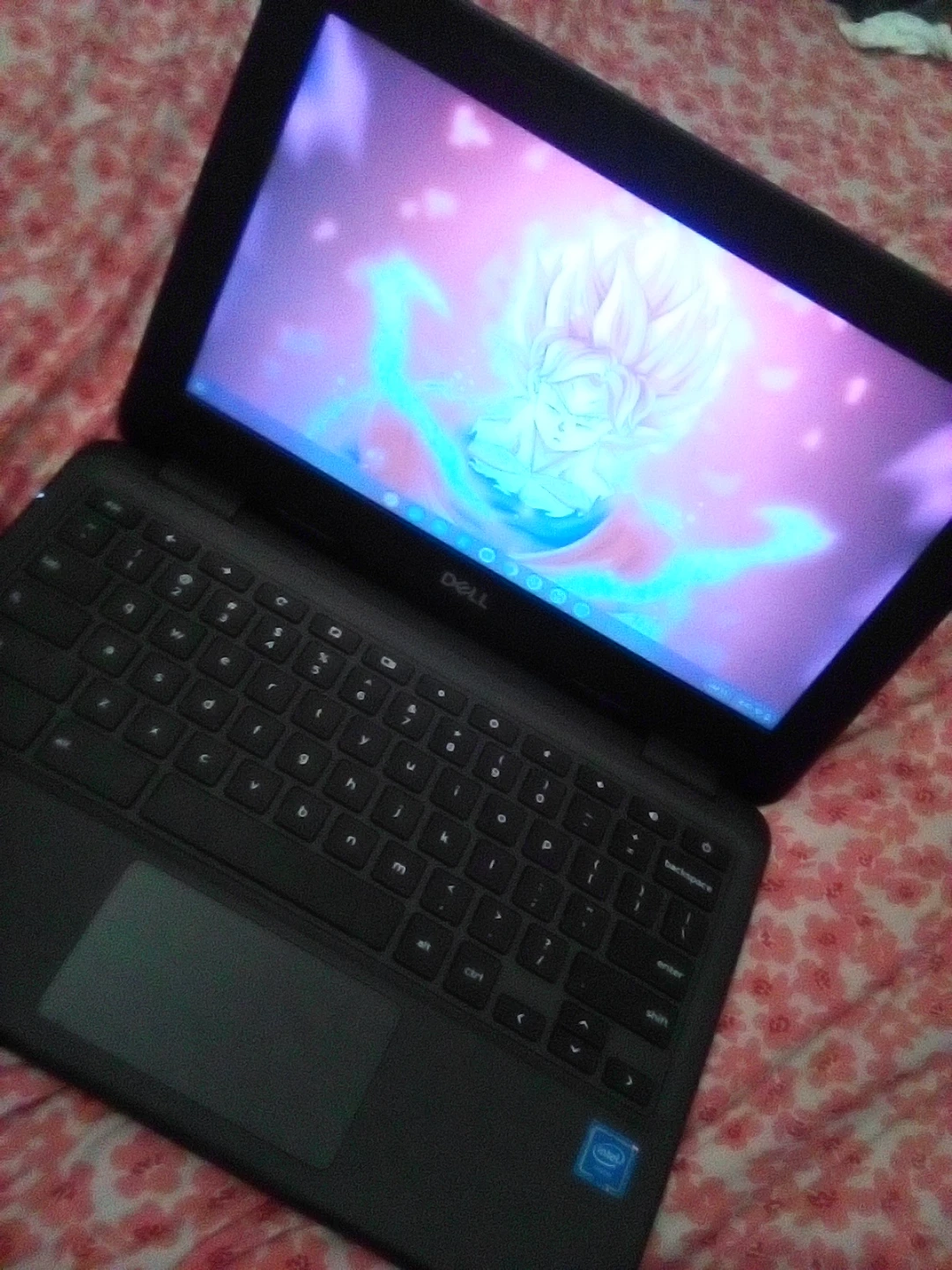 Dell Chromebook 11 model: 3100