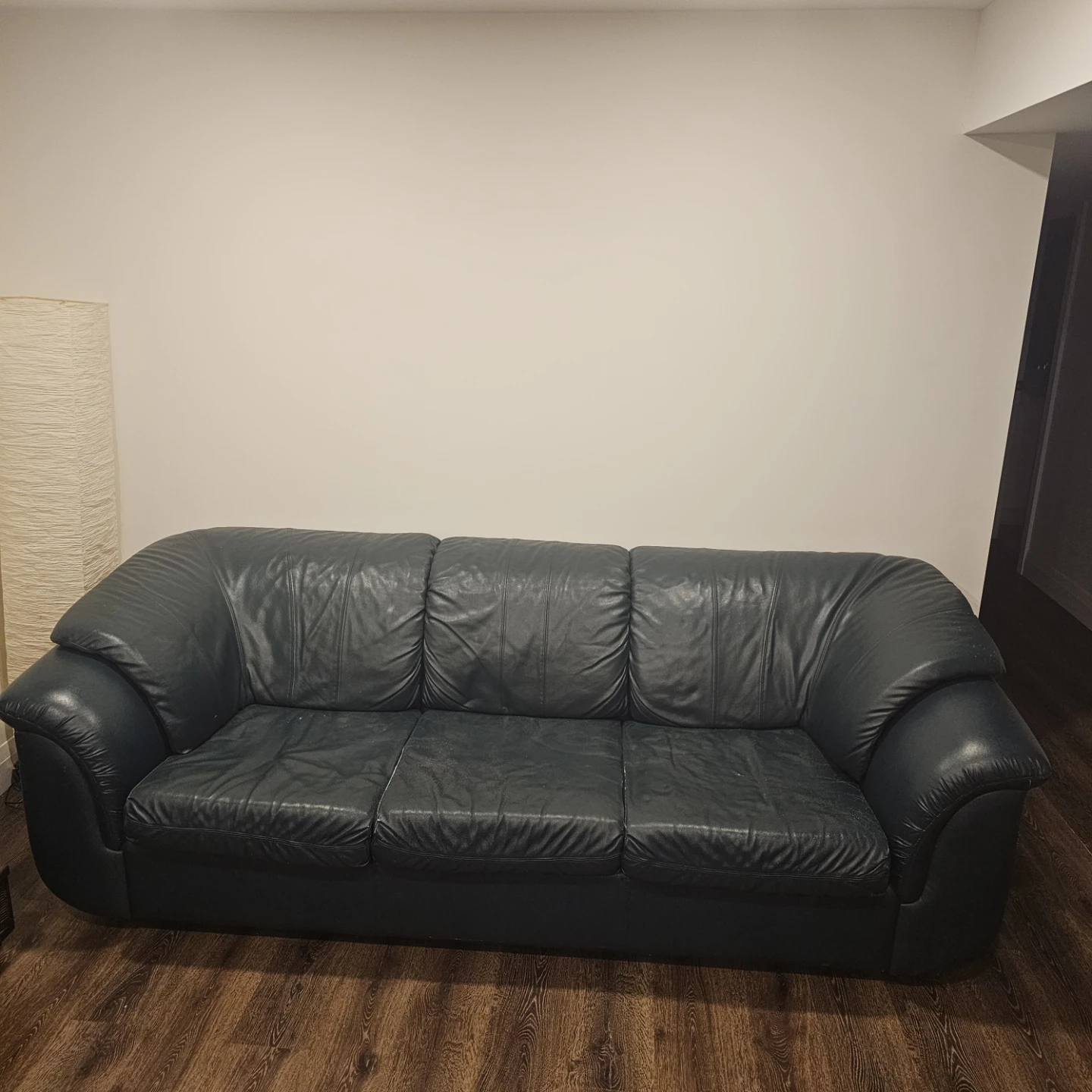 Dark Green Leather Sofa