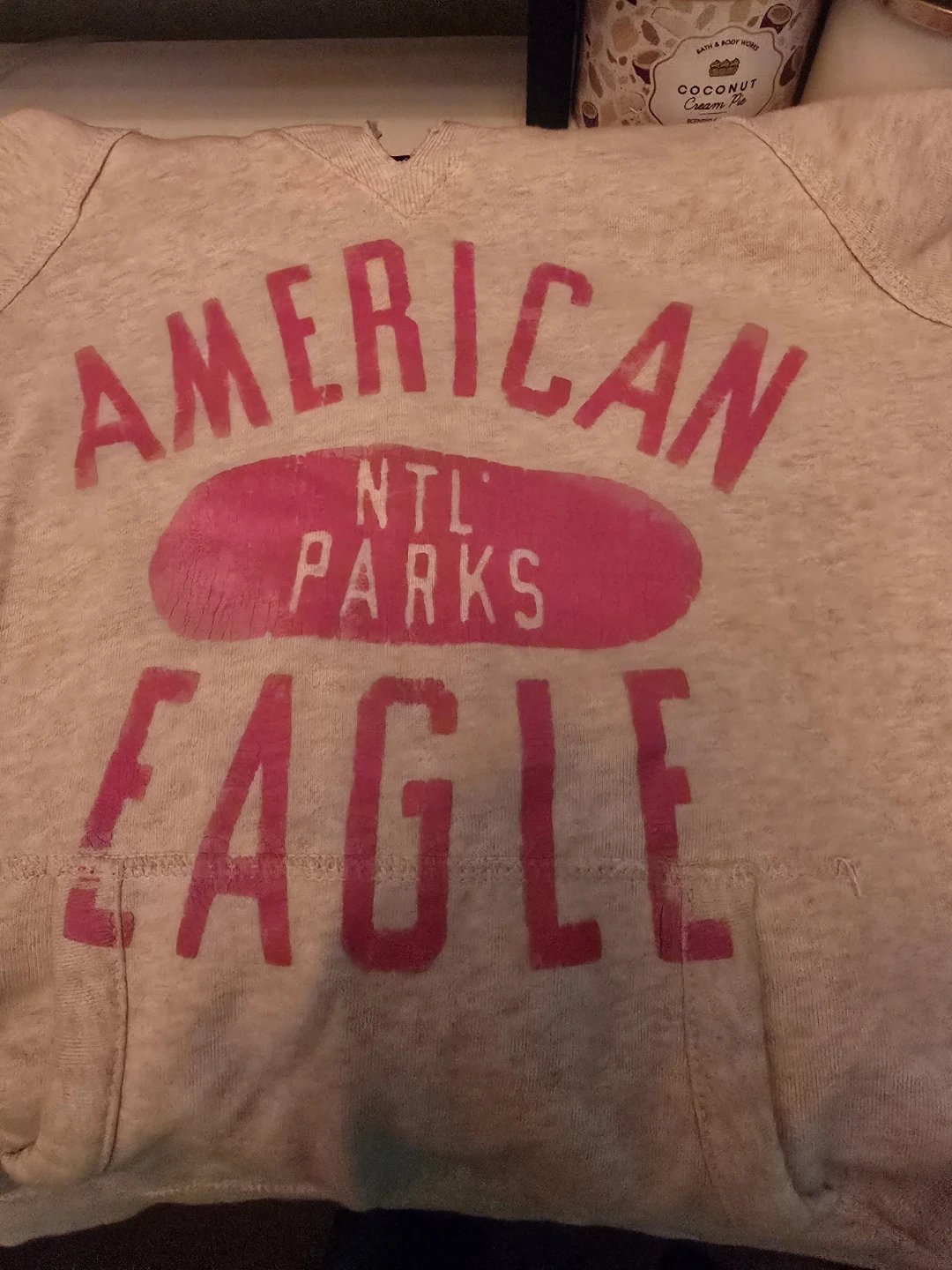 American Eagle Outfitters Hoodie