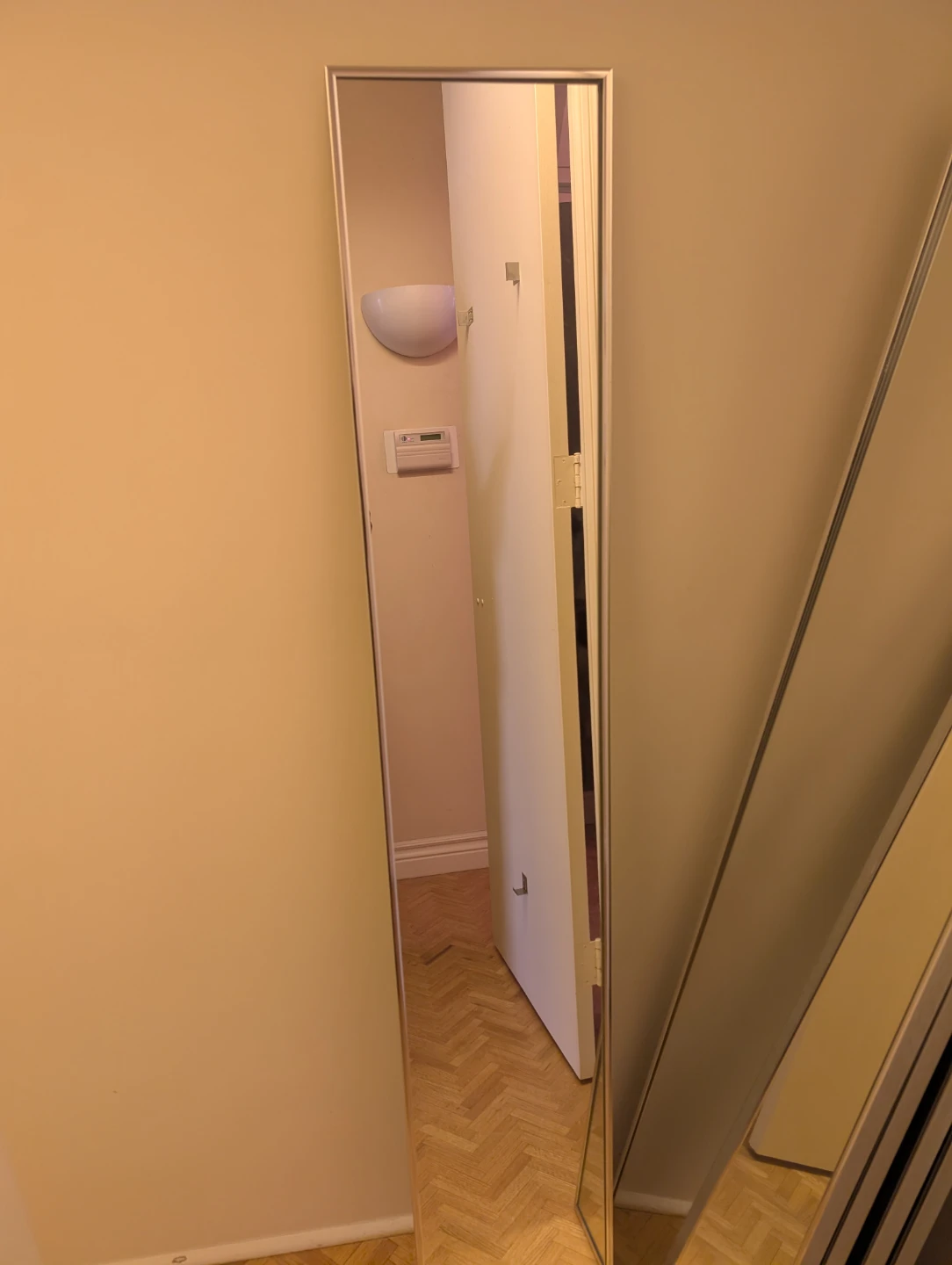 Full Length Mirror with Silver Frame - photo 2