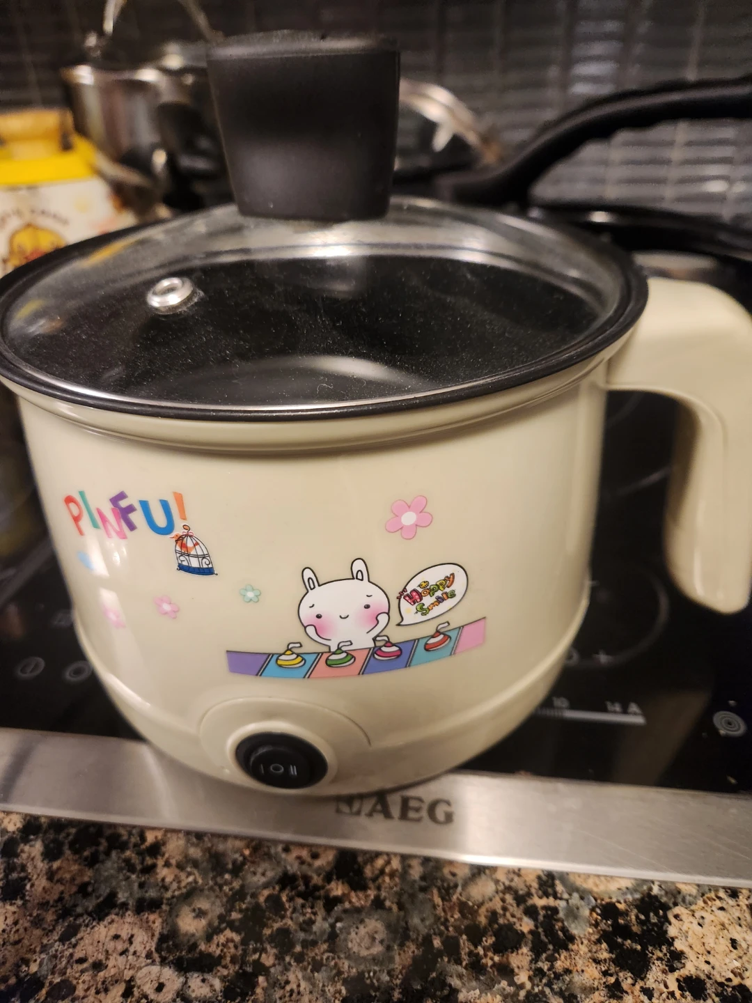 Mini Electric Cooking Pot with Lid