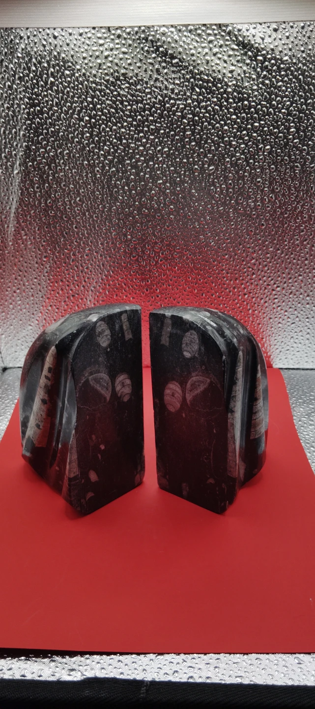 Fossil Ammonite Bookends - photo 2