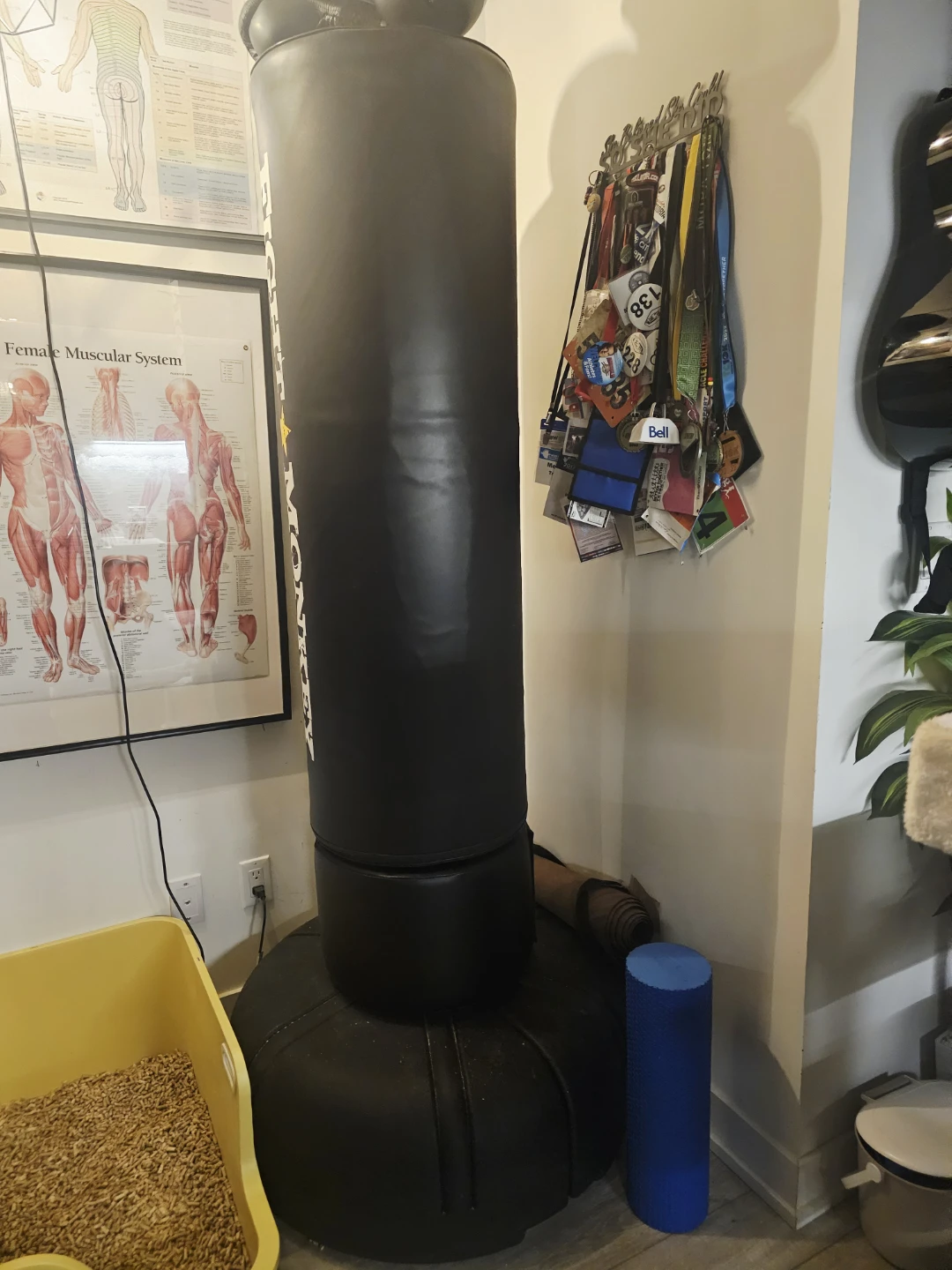 Free Standing Punching Bag