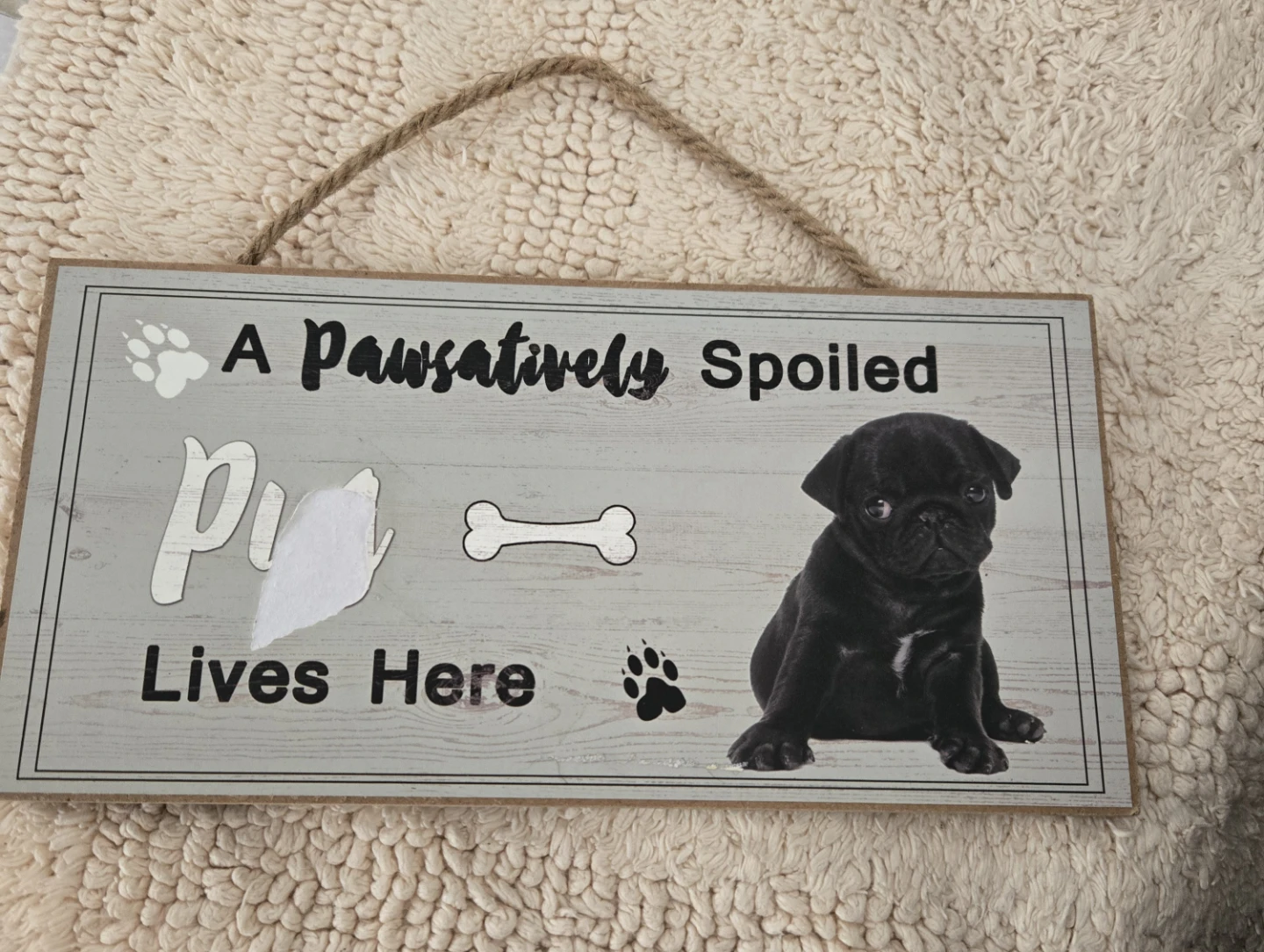 🥕 Pawsitively Spoiled Pug Lives Here Decorative Sign