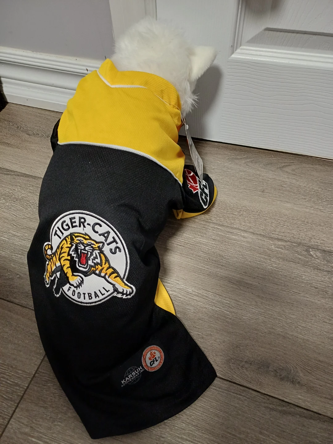 Hamilton Tiger-Cats Dog Jersey