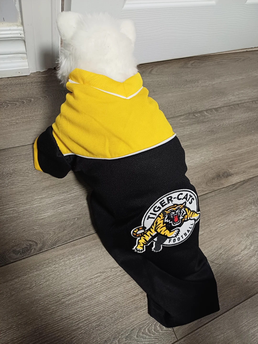 Hamilton Tiger-Cats Dog Jersey - photo 3