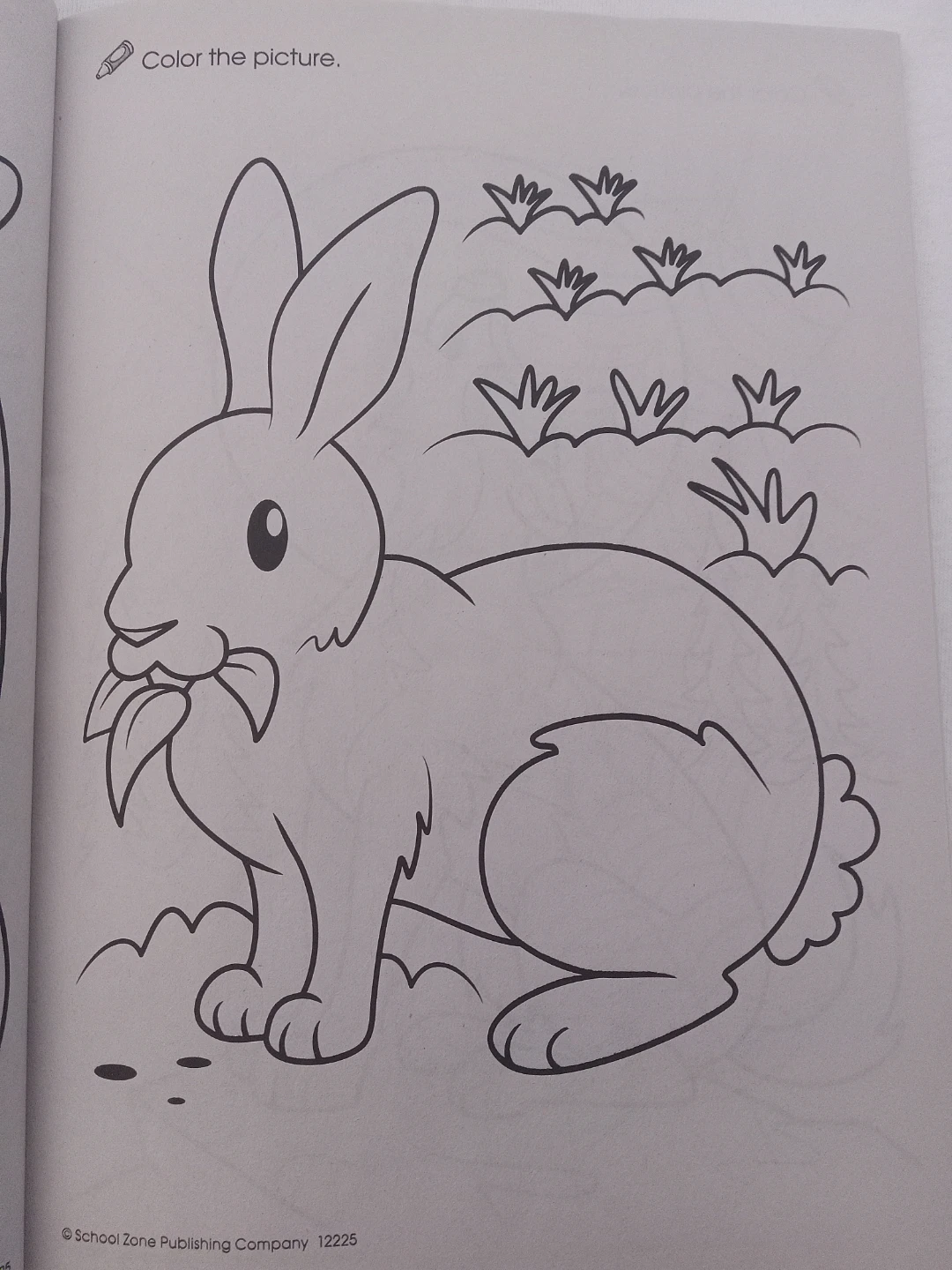 Animal Coloring Book - photo 3