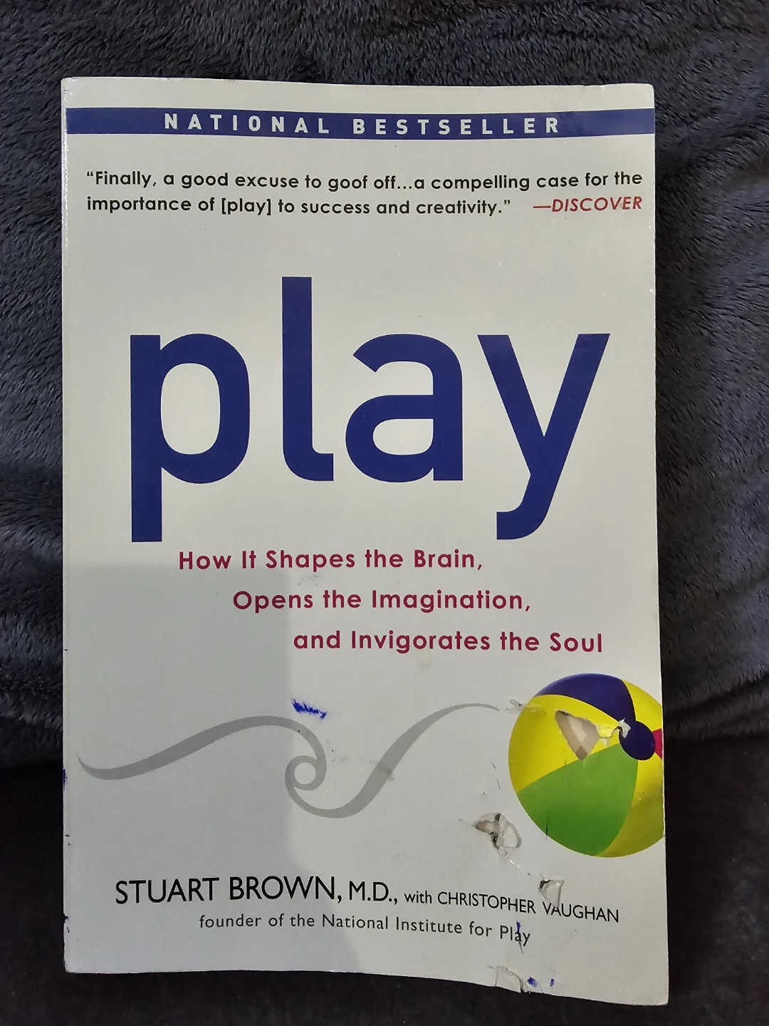 Play: How It Shapes the Brain Book