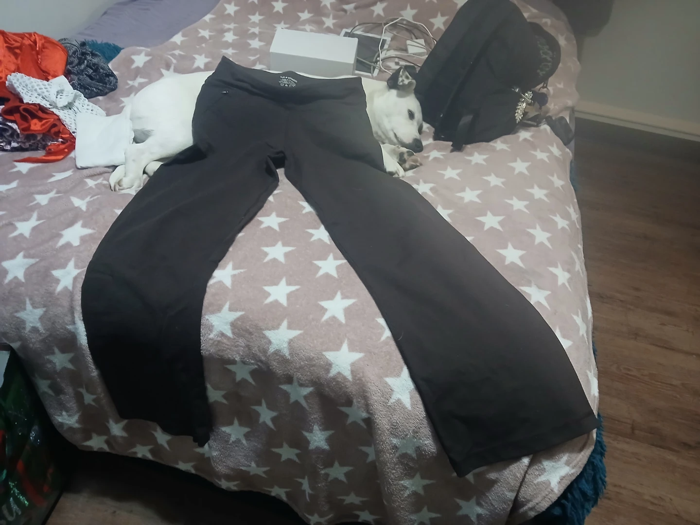 Tuff Athletics Women's Yoga Pants - photo 4