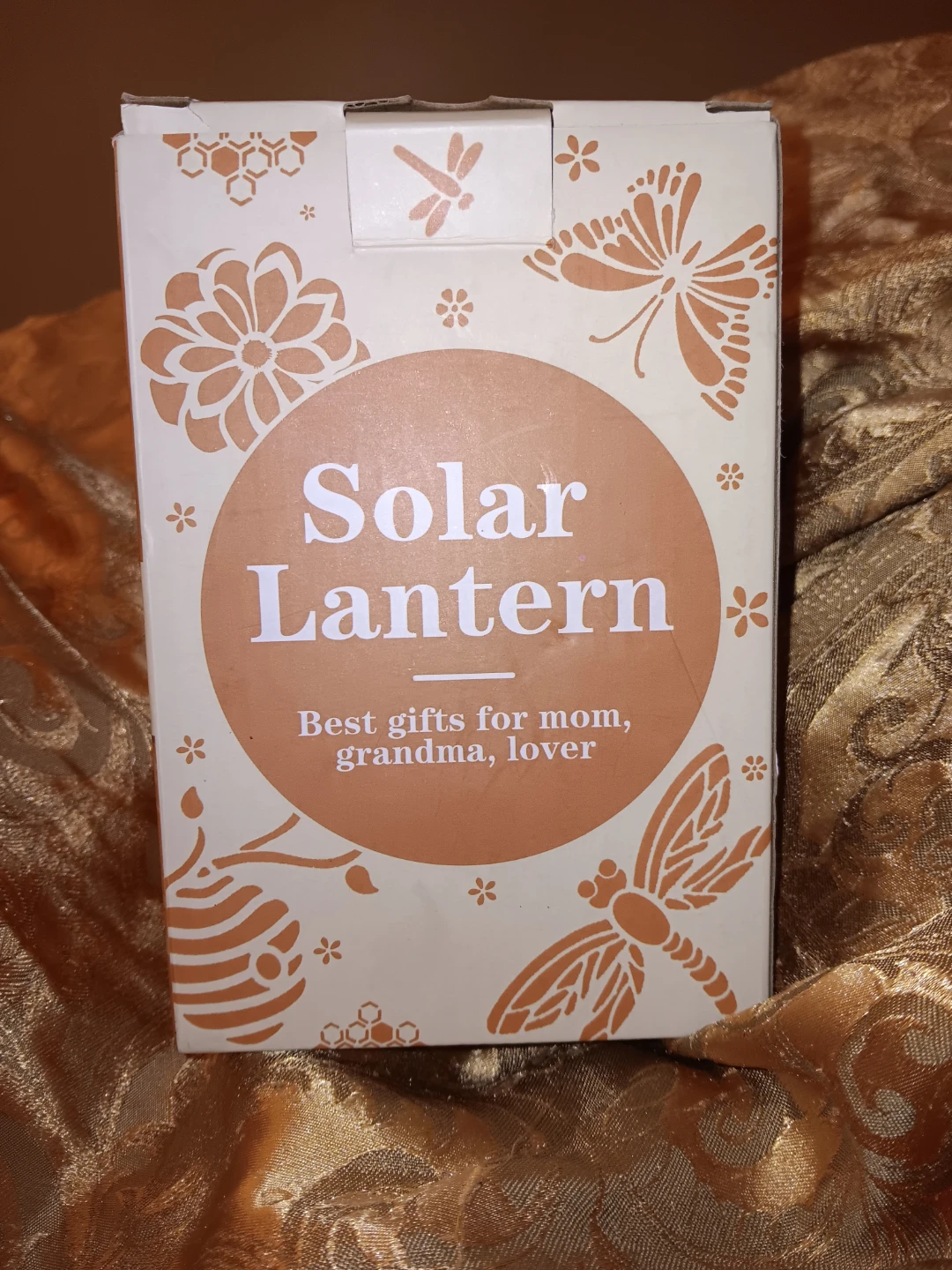 Solar Lantern 🥕