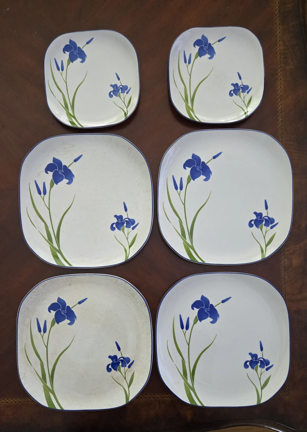6 Plates Vintage Sango Blue Iris