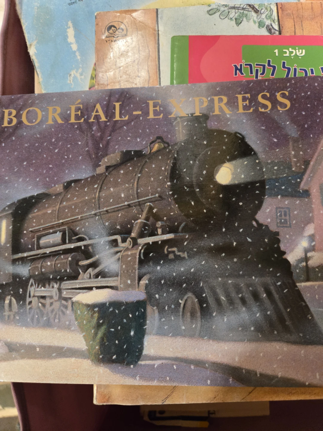 Boreal Express Children's Book